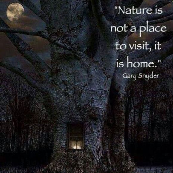 tammy_dyer